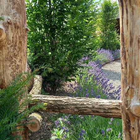Le Jardin Des Fagnes Villa Robertville Eksteriør billede