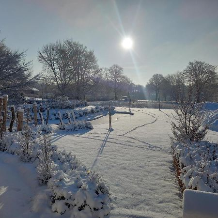 Le Jardin Des Fagnes Villa Robertville Eksteriør billede