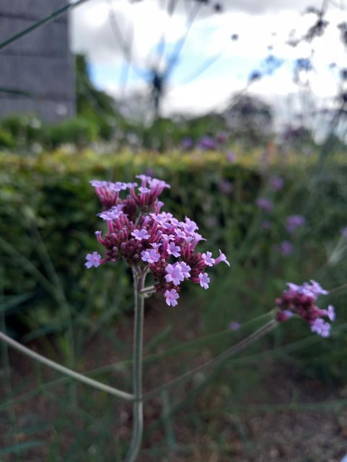 Le Jardin Des Fagnes Villa Robertville Eksteriør billede