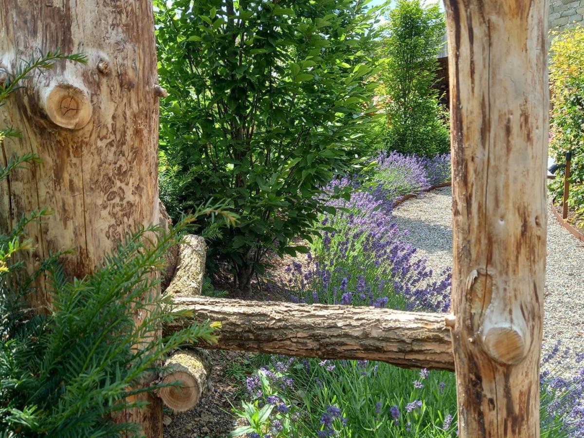 Le Jardin Des Fagnes Villa Robertville Eksteriør billede