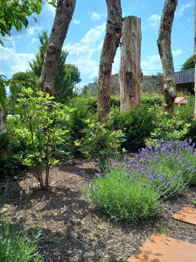 Le Jardin Des Fagnes Villa Robertville Eksteriør billede